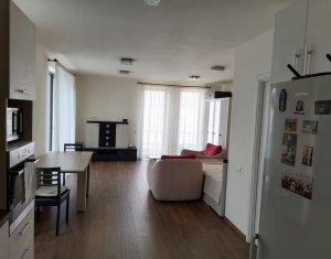 Appartement 1 chambres à louer dans Cluj-napoca, zone Andrei Muresanu