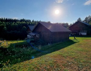 Casa de Poveste in Rasca, Cluj - Refugiul Ideal pentru Agroturism si Relaxare