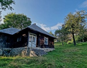 Casa de Poveste in Rasca, Cluj - Refugiul Ideal pentru Agroturism si Relaxare