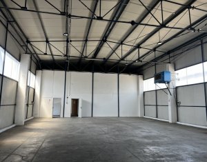 Industrial space for rent in Cluj-napoca, zone Someseni