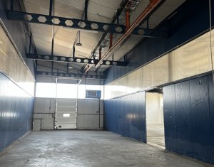 Espace Industriel à louer dans Cluj-napoca, zone Someseni