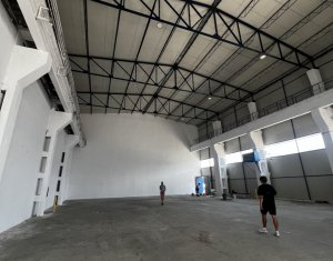 Espace Industriel à louer dans Cluj-napoca, zone Someseni