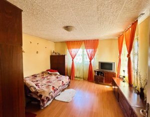 Maison 3 chambres à vendre dans Cluj-napoca, zone Someseni