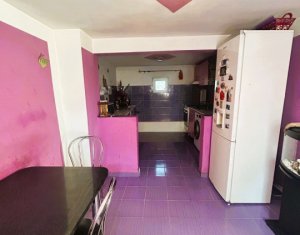 Maison 3 chambres à vendre dans Cluj-napoca, zone Someseni