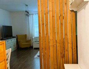 Apartament 2 camere, 2 bai, curte, Floresti