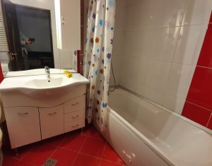 Apartament cu o camera, complet dotat, strada Stejarului