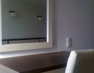 Appartement 2 chambres à louer dans Cluj-napoca, zone Plopilor