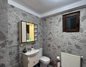 Appartement 3 chambres à louer dans Cluj-napoca, zone Iris