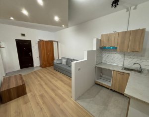 Apartment 2 rooms for rent in Cluj-napoca, zone Dambul Rotund