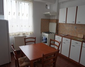 Appartement 1 chambres à louer dans Cluj-napoca, zone Intre Lacuri