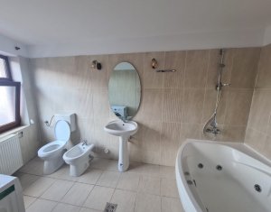 Appartement 3 chambres à louer dans Cluj-napoca, zone Gruia