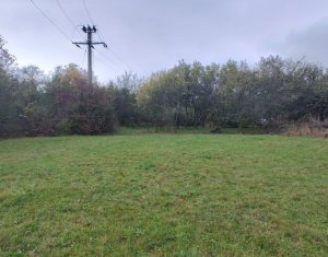 Teren intravilan in Padureni - Chinteni, 3200 mp, intre case