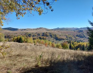 Terrain à vendre dans Muntele Baisorii