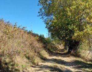 Terrain à vendre dans Muntele Baisorii