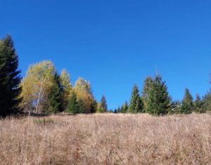 Terrain à vendre dans Muntele Baisorii