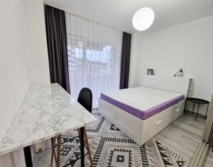 Apartament cu 1 camera in Buna Ziua, priveliște frumoasă