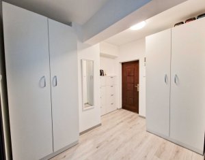 Apartament cu 1 camera in Buna Ziua, priveliște frumoasă