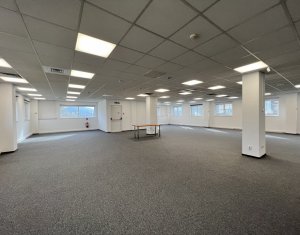 Office for rent, 120m2 in Cluj-napoca, zone Manastur