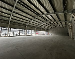 Espace Commercial à louer, 600m2 dans Cluj-napoca, zone Someseni