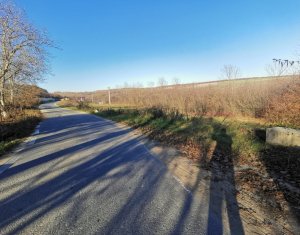 Teren intravilan in com.Ciurila sat Saliste orientare buna, priveliste