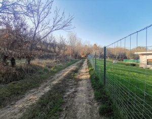 Teren intravilan in com.Ciurila sat Saliste orientare buna, priveliste