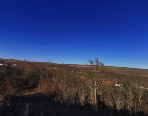 Teren intravilan in com.Ciurila sat Saliste orientare buna, priveliste