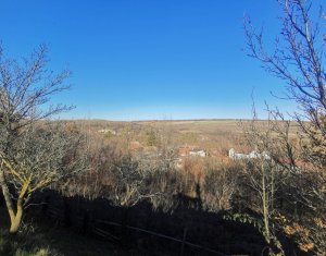 Teren intravilan in com.Ciurila sat Saliste orientare buna, priveliste