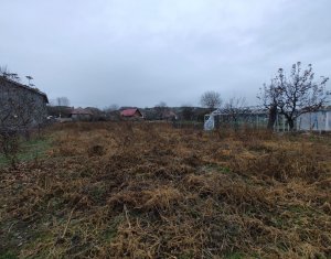 Gospodarie traditionala incremenita in timp, Bontida, 1000 mp teren