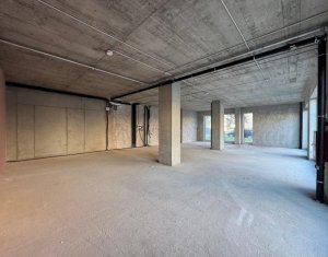 Espace Commercial à louer, 148m2 dans Cluj-napoca, zone Manastur