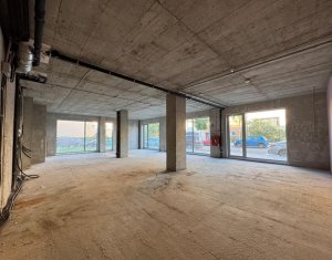 Espace Commercial à louer dans Cluj-napoca, zone Manastur