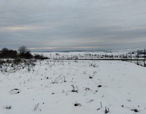 Terrain à vendre dans Chinteni