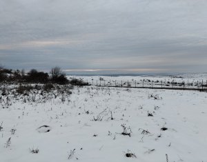 Terrain à vendre dans Chinteni