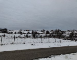 Terrain à vendre dans Chinteni