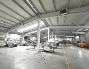 Industrial space for rent in Cluj-napoca, zone Iris