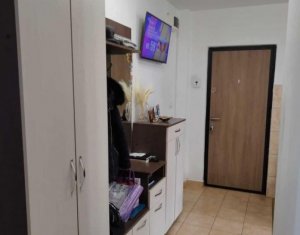 Apartament cu 2 camere Intre Lacuri -Iulius Mall, et.1, parcare