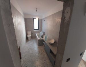 Maison 4 chambres à louer dans Cluj-napoca, zone Gruia