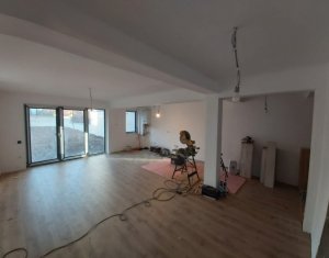 Maison 4 chambres à louer dans Cluj-napoca, zone Gruia