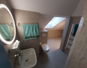 Office for rent in Cluj-napoca, zone Andrei Muresanu